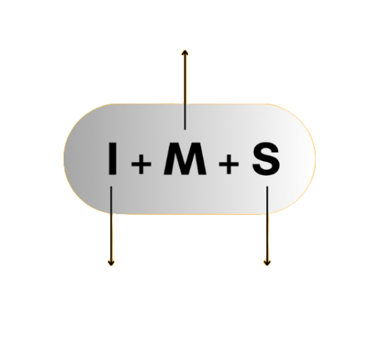 I+M+S
